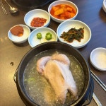 고려조 삼계탕 상무지구점 - 상무지구 삼계탕, 오골계 맛집 | 다이닝코드, 빅데이터 맛집검색