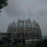 무안 이국적/이색적 맛집 Top77 - 다이닝코드