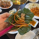 슈타인도르프 - 방이동 수제맥주, 맥주 맛집 | 다이닝코드, 빅데이터 맛집검색