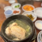 고려조삼계탕 - 광주 삼계탕, 오골계 맛집 | 다이닝코드, 빅데이터 맛집검색