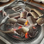 자갈치숯불산장어구이 - 진주 꼼장어, 장어 맛집 | 다이닝코드, 빅데이터 맛집검색