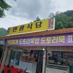 충청북도 단양군 영춘면 백자리 맛집 Top12 - 다이닝코드