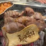 대포항 - 목동역 횟집, 대광어 맛집 | 다이닝코드, 빅데이터 맛집검색