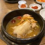 고려조 삼계탕 본점 - 광주 삼계탕, 오골계 맛집 | 다이닝코드, 빅데이터 맛집검색