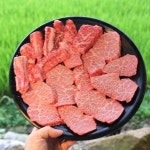 한눈에 펼쳐보는 철마 맛집 - 다이닝코드, 빅데이터 맛집검색