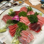 동강참치 - 신촌 참치, 참치회 맛집 - 다이닝코드