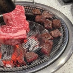 새재골가든 - 남양주 백숙, 옻닭 맛집 | 다이닝코드, 빅데이터 맛집검색