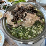 산촌가든 - 단양 오리백숙, 오리불고기 맛집 | 다이닝코드, 빅데이터 맛집검색