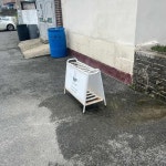 진도군 음식 랭킹 - 다이닝코드