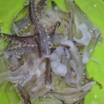 돌고래마차 - 오산 횟집, 대하 맛집 | 다이닝코드, 빅데이터 맛집검색