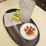 서울특별시 강서구 강서로12길 15 주소 검색 결과 2곳 - 다이닝코드