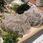 구룡포 세꼬시 - 삼전동 횟집, 세꼬시 맛집 | 다이닝코드, 빅데이터 맛집검색
