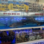 매일수산365 - 충북혁신도시 횟집 맛집 | 다이닝코드, 빅데이터 맛집검색
