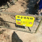 찻집작은갤러리 - 진도 파전, 수제비 맛집 | 다이닝코드, 빅데이터 맛집검색
