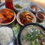 양주 전통순대 맛집 Top3 - 다이닝코드