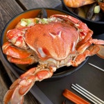 말이랑 흑도새기랑 - 제주도 말고기, 흑돼지 맛집 | 다이닝코드, 빅데이터 맛집검색