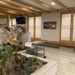 충청북도 제천 음식 랭킹 - 다이닝코드