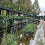 강원특별자치도 춘천시 신북읍 천전리 음식 랭킹 - 다이닝코드