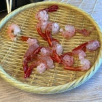 모시개식당 - 울릉도 뼈해장국, 뼈다귀해장국 맛집 | 다이닝코드, 빅데이터 맛집검색