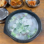 둥지식당 - 서산 콩국수, 사골떡국 맛집 | 다이닝코드, 빅데이터 맛집검색