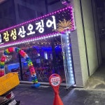 감성산오징어 - 중구 횟집, 산오징어 맛집 | 다이닝코드, 빅데이터 맛집검색
