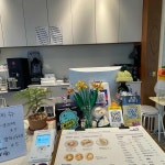 카페 노클라우드 - 방학동 카페, 클라우드 맛집 | 다이닝코드, 빅데이터 맛집검색