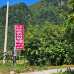 경북+울릉군 음식 랭킹 - 다이닝코드, 빅데이터 맛집검색