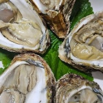 항아리보쌈 평택대점 - 안성 보쌈, 쟁반국수 맛집 | 다이닝코드, 빅데이터 맛집검색