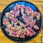 천개동농장 - 대전 오리고기, 오리로스 맛집 | 다이닝코드, 빅데이터 맛집검색