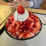 설빙 대구대명점 - 대구남산역 빙수, 생딸기 맛집 | 다이닝코드, 빅데이터 맛집검색