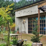 칠전동 음식 랭킹 - 다이닝코드