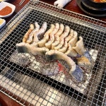장수마을풍천장어 - 광주 장어, 장어탕 맛집 | 다이닝코드, 빅데이터 맛집검색