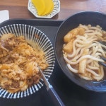 동경에서먹었던규동 당진점 - 당진 규동, 김치가츠동 맛집 - 다이닝코드