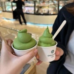 오설록 롯데백화점본점 - 롯데백화점본점 아이스크림, 녹차 맛집 - 다이닝코드