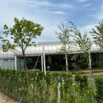 진접 음식 랭킹 - 다이닝코드