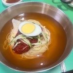 본가가야밀면 - 부경대 밀면, 물밀면 맛집 | 다이닝코드, 빅데이터 맛집검색