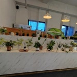 어반라운지 - 전주 카페, 브런치카페 맛집 - 다이닝코드