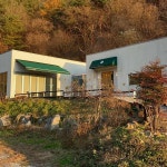 리틀포레스트 - 단양 카페, 디저트 맛집 | 다이닝코드, 빅데이터 맛집검색