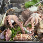 미추홀구 해물탕 맛집 Top100 - 다이닝코드