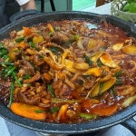 푸른솔식당 - 경산 오리불고기, 오리구이 맛집 | 다이닝코드, 빅데이터 맛집검색