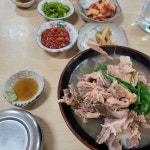 고씨네막창 - 제주시청 곱창, 소곱창 맛집 | 다이닝코드, 빅데이터 맛집검색