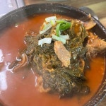 홍천뚝배기 - 진주 뼈해장국, 감자탕 맛집 | 다이닝코드, 빅데이터 맛집검색