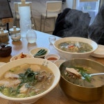 착한스시 - 제주 스시, 딱새우회 맛집 | 다이닝코드, 빅데이터 맛집검색