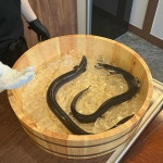기품장어 - 광주 장어, 풍천장어 맛집 | 다이닝코드, 빅데이터 맛집검색