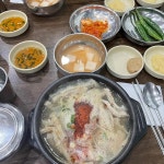 제주시청 음식 랭킹 - 다이닝코드