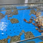 충청북도 음성군 대소면 태생리 음식 랭킹 - 다이닝코드