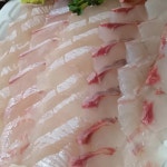 진주품은활어 - 청학리 횟집, 물회 맛집 | 다이닝코드, 빅데이터 맛집검색