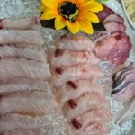 엔돌핀선어 - 여수 횟집, 선어회 맛집 | 다이닝코드, 빅데이터 맛집검색