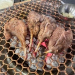 꼼양 - 포항남구 양갈비, 양고기 맛집 | 다이닝코드, 빅데이터 맛집검색