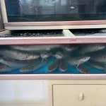 두암동 횟집 맛집 Top20 - 다이닝코드